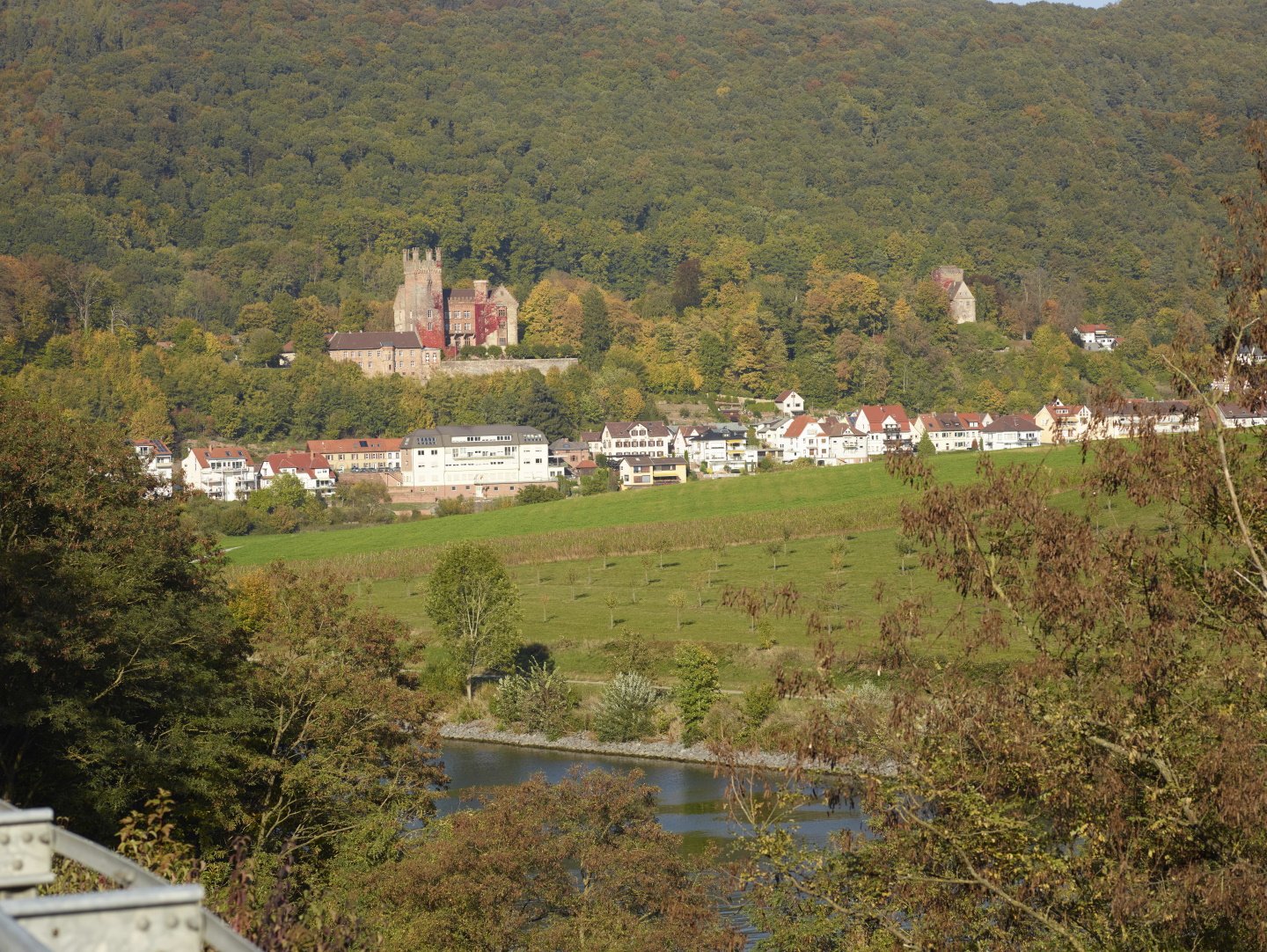 Blick auf die Vierburgenstadt Neckarsteinach