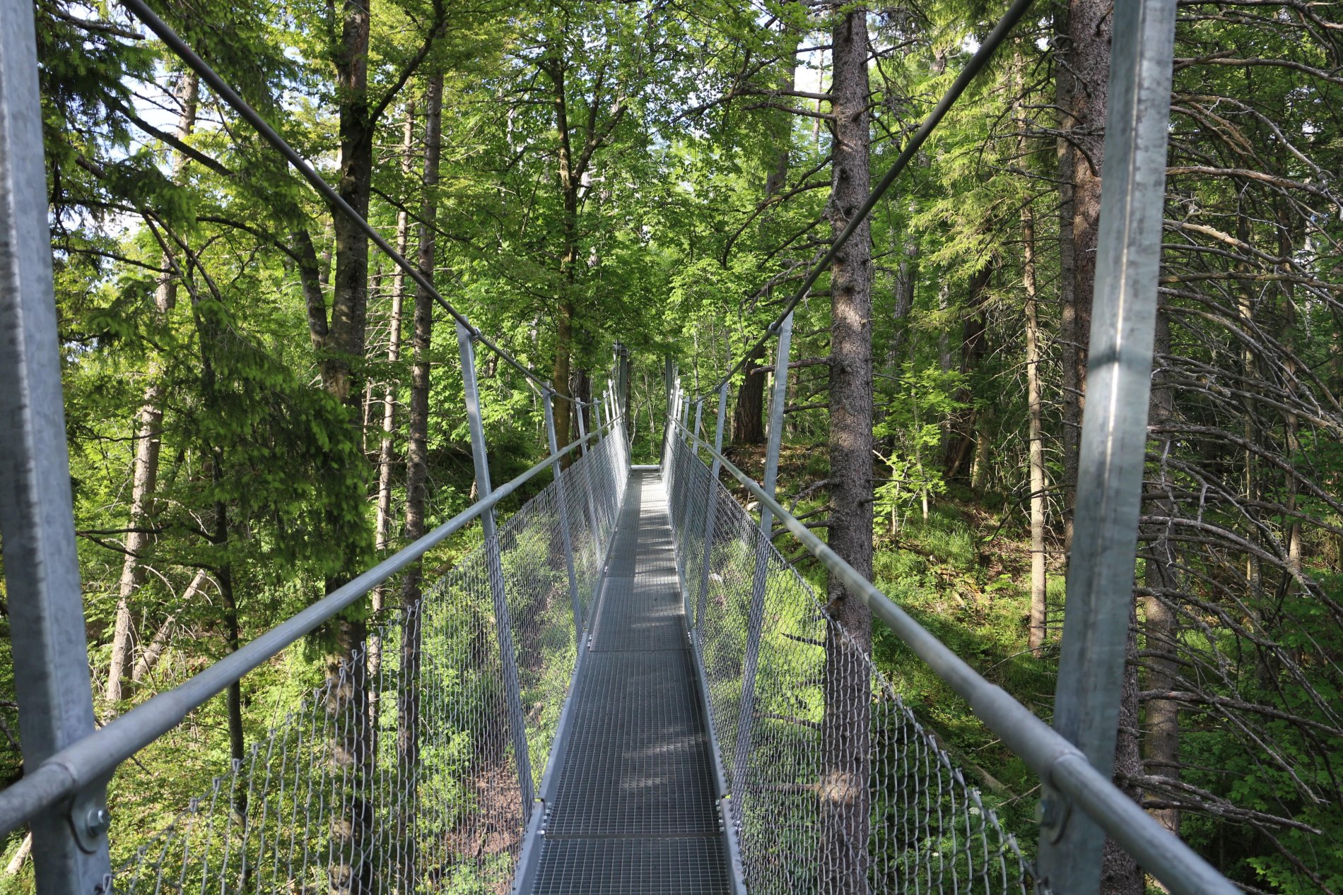 Hängebrücke aus Metall am Oberhohenberg