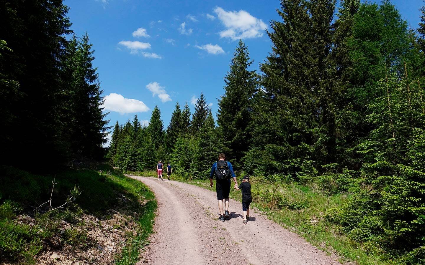 Thüringer Wald Wanderung