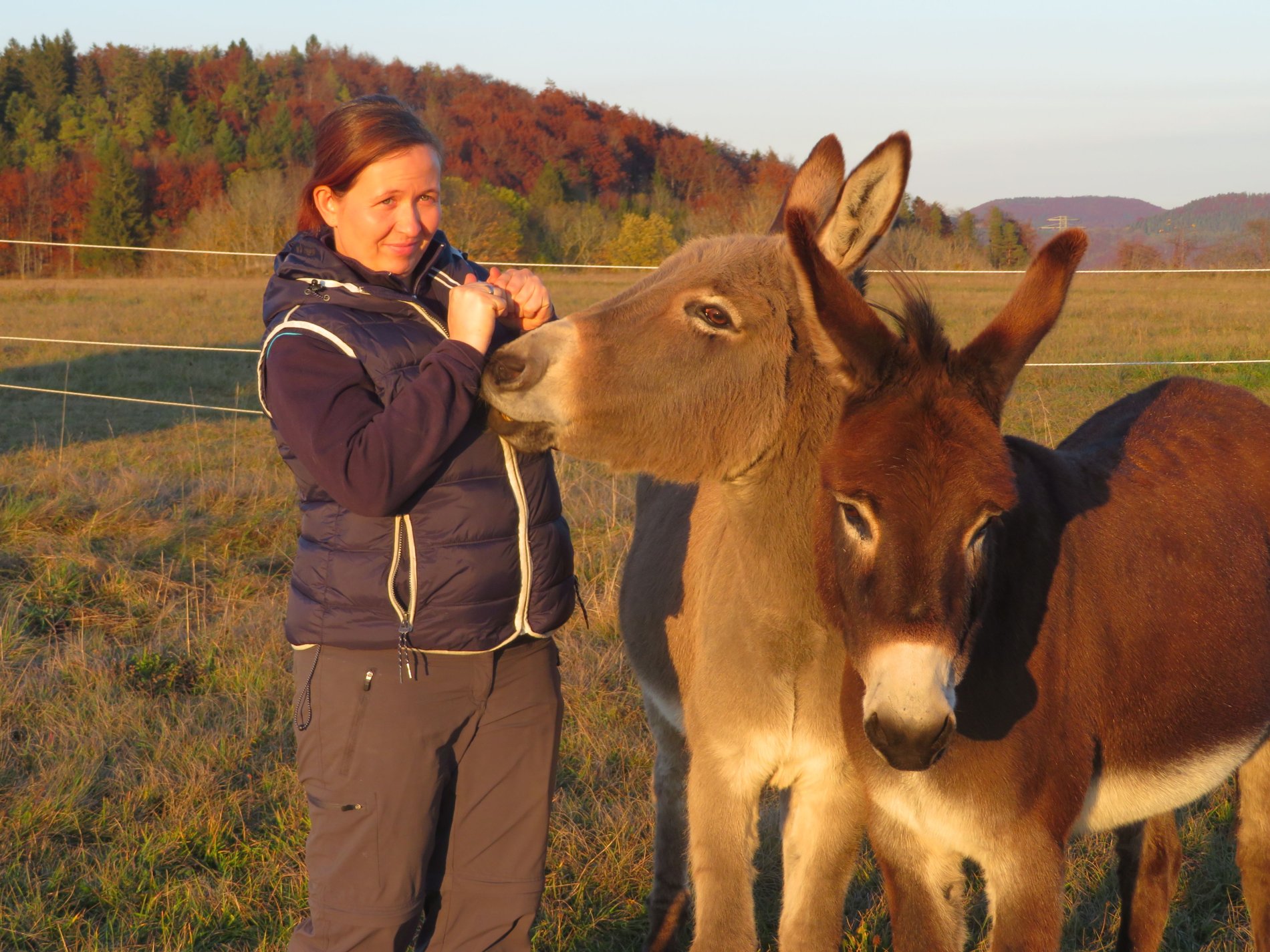 Esel-Mama Melanie Hetz mit ihren beiden AlbEseln