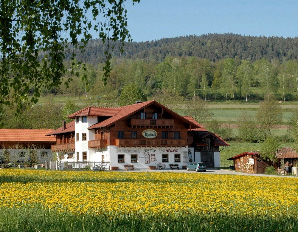 Blick auf den Drexler Hof in Arrach im Naturpark Oberer Bayerischer Wald