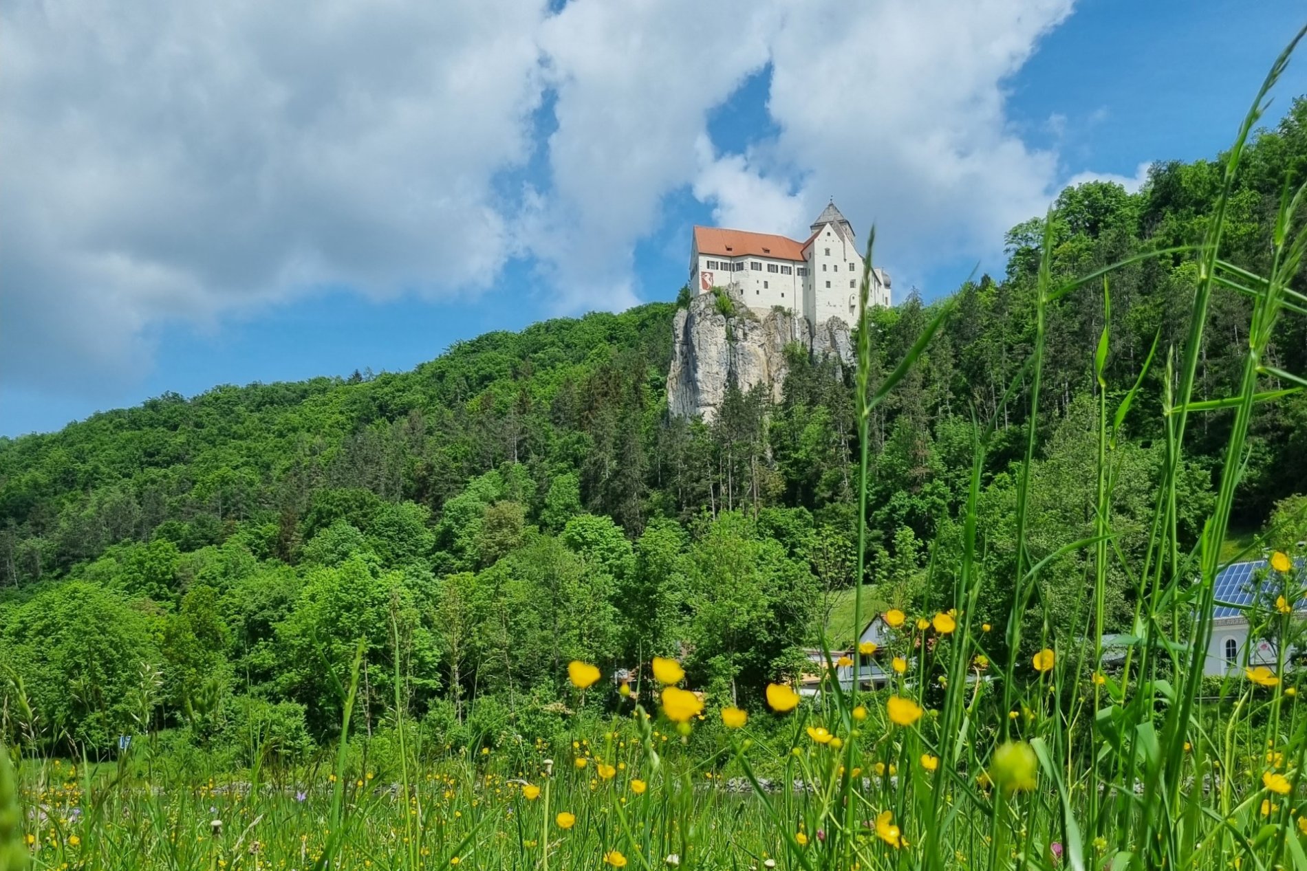 Die Burg Prunn steht auf einem hohen Felsen und ist von vielen Bäumen umgeben. Im Vordergrund blühen auf einer Wiese die Butterblümchen.