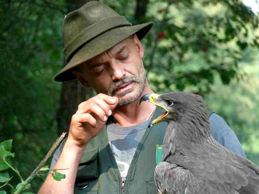 Ein Adler auf dem Arm von Dieter Betz im Greifvogelpark Grafenwiesen