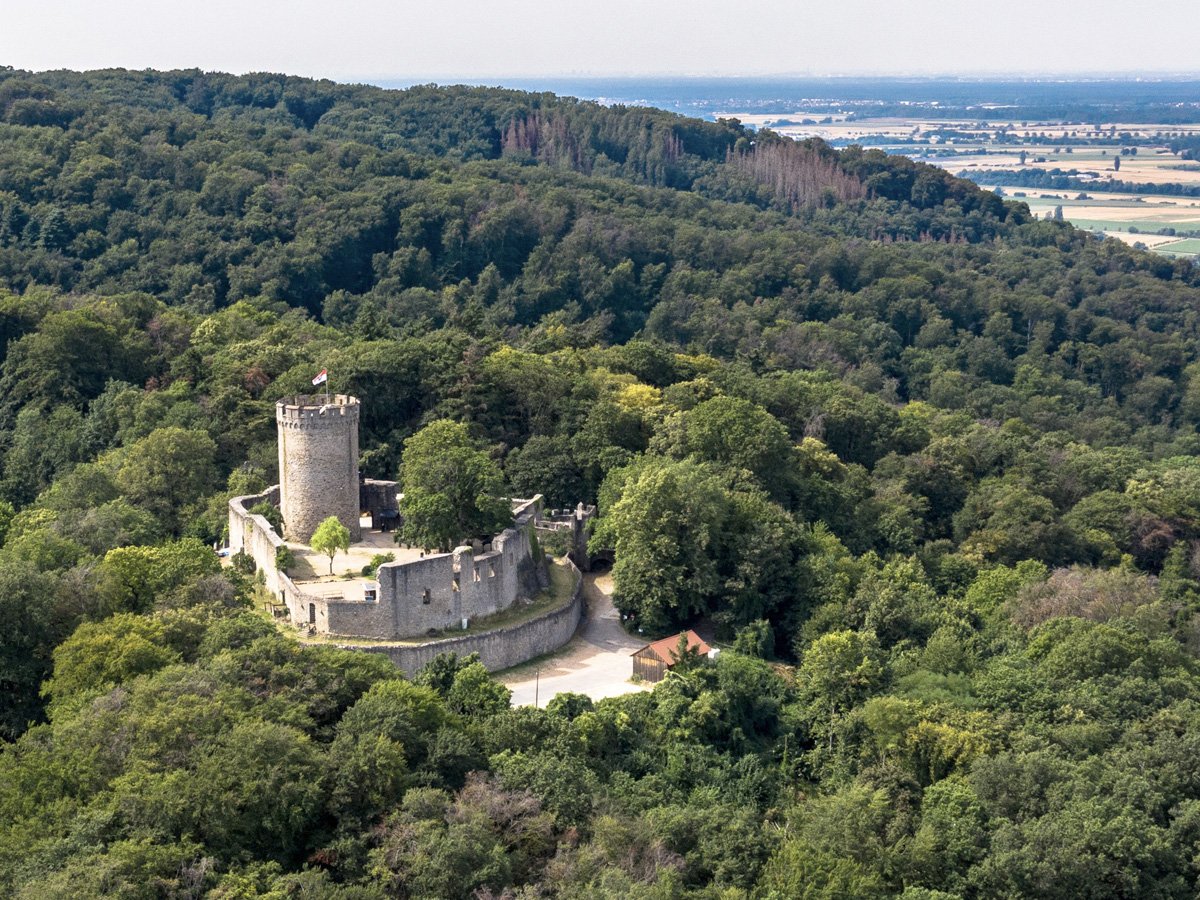 Luftaufnahme vom Auerbacher Schloss