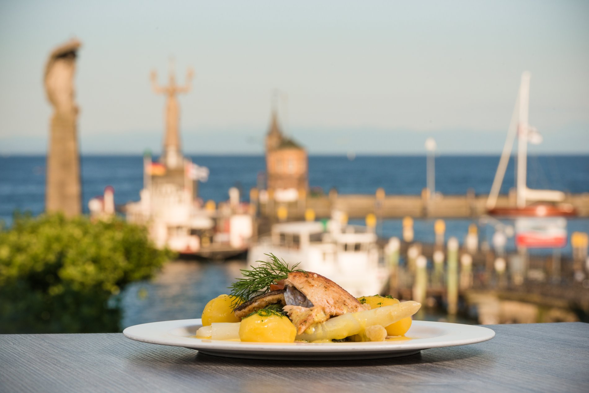 Gebratener Fisch auf Spargel und Petersilienkartoffeln vor dem Konstanzer Hafen