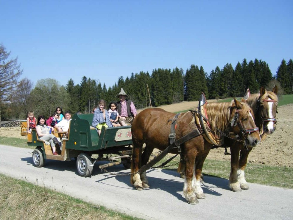 Pferdekutschenfahrt beim Sammerhof in Winkelbrunn bei Freyung