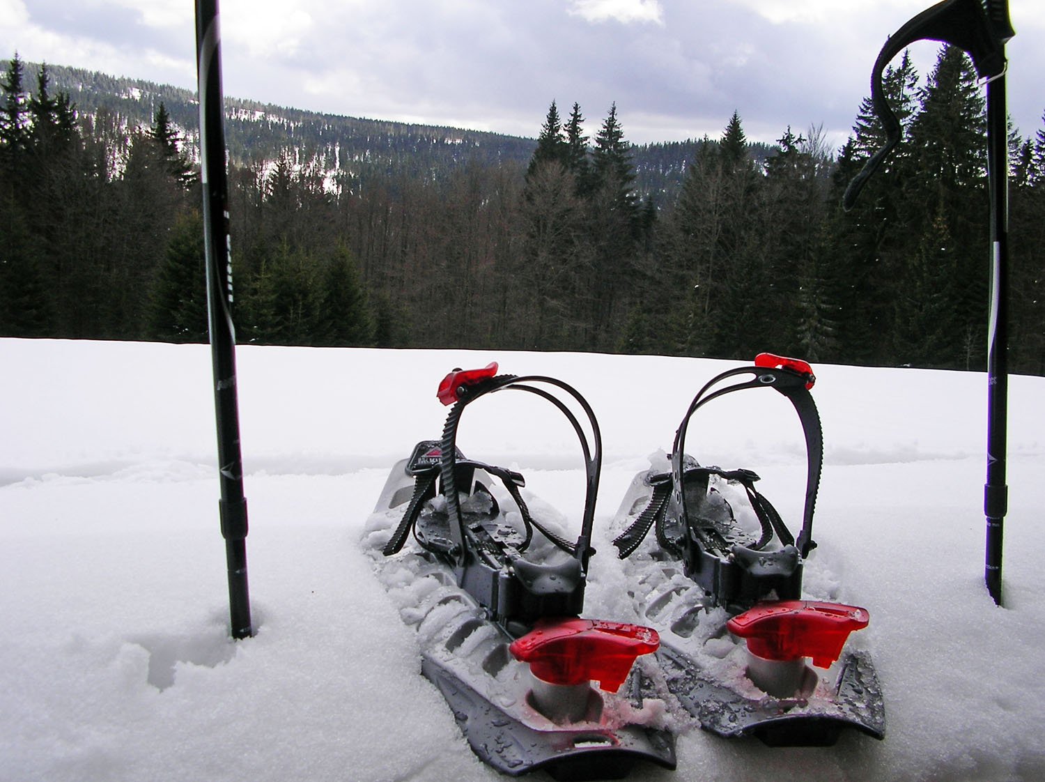 Schneeschuhtouren durch den Bayerischen Wald