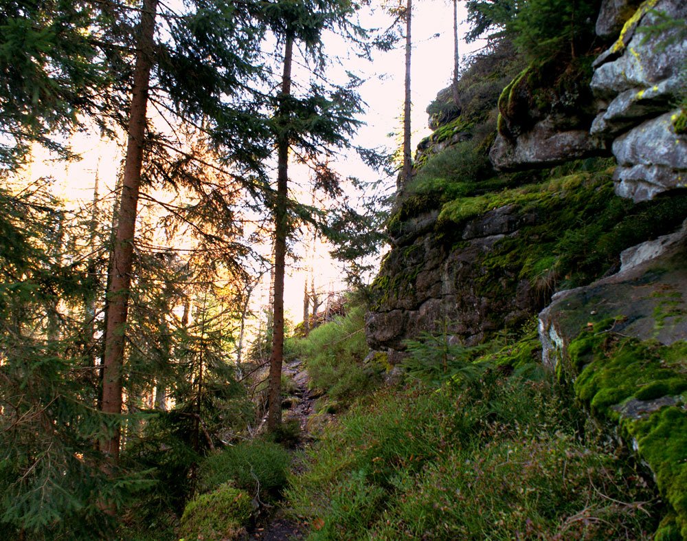 Das Felswandergebiet in der Umgebung der Ortschaft Schönbrunn a. Lusen