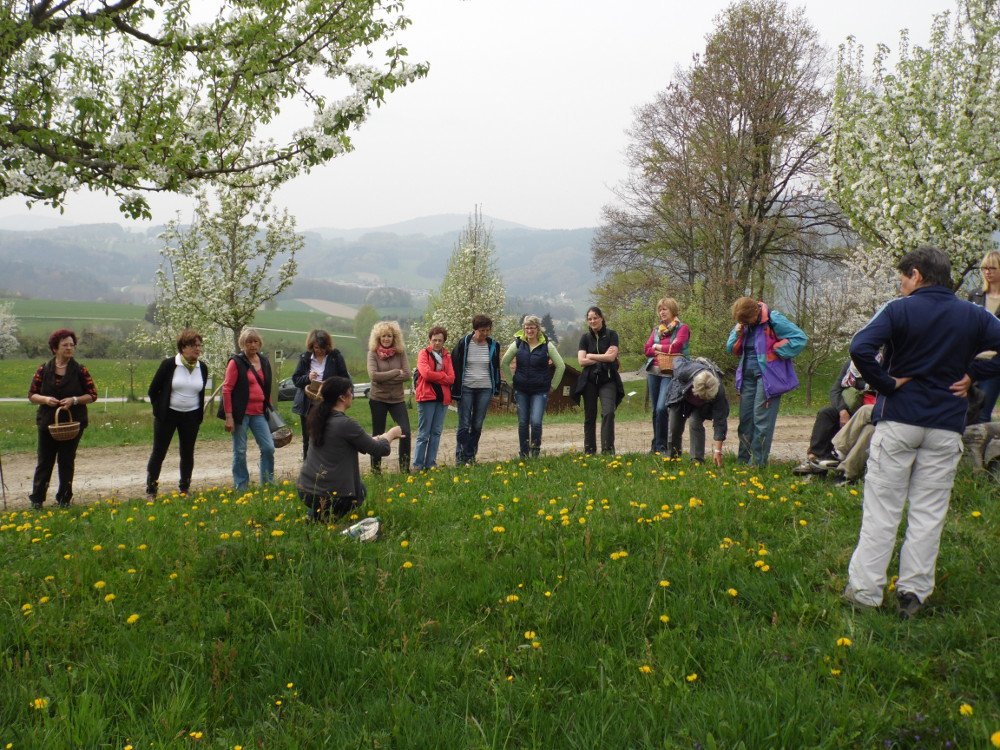 Kräuterwanderung mit der Kräuterpädagogin rund um Grattersdorf im Bayerischen Wald
