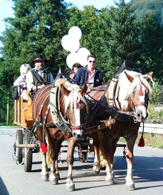Die Familie Gihr bietet Pferdekutschebfahrt in Hausach an