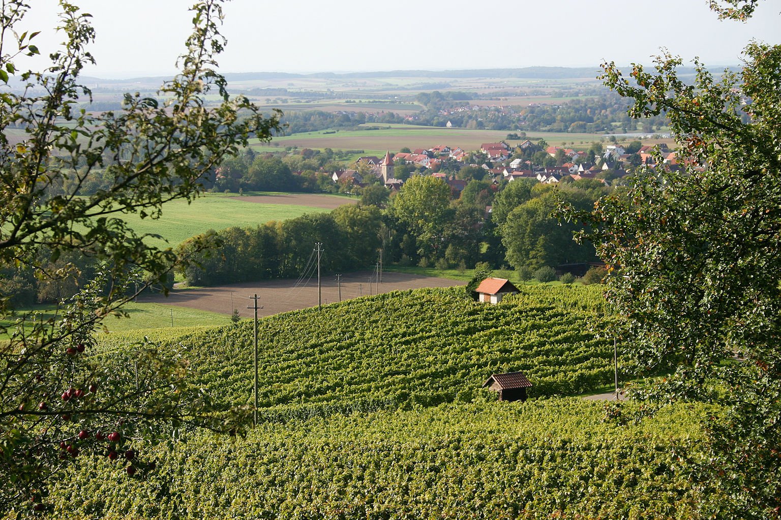 Weinort Eschelbach, Neuenstein