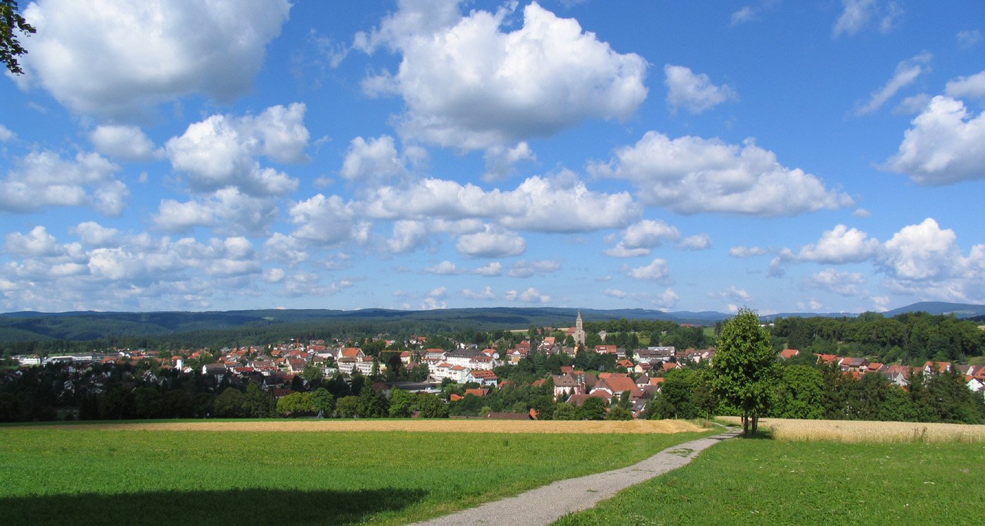 Blick vom Lindenbuck über Bonndorf