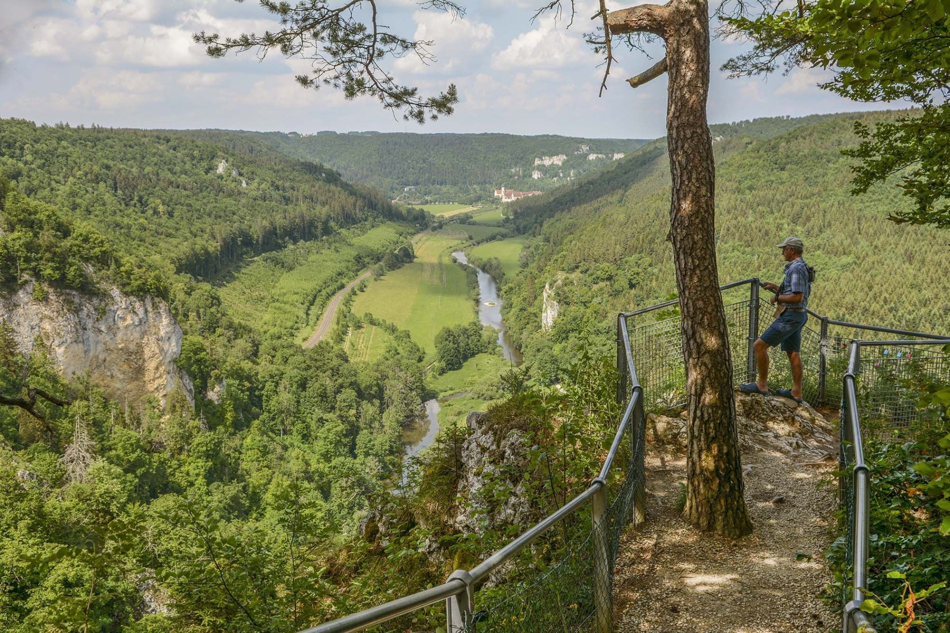 Knopfmacherfelsen bei Fridingen Aussicht ins Donautal