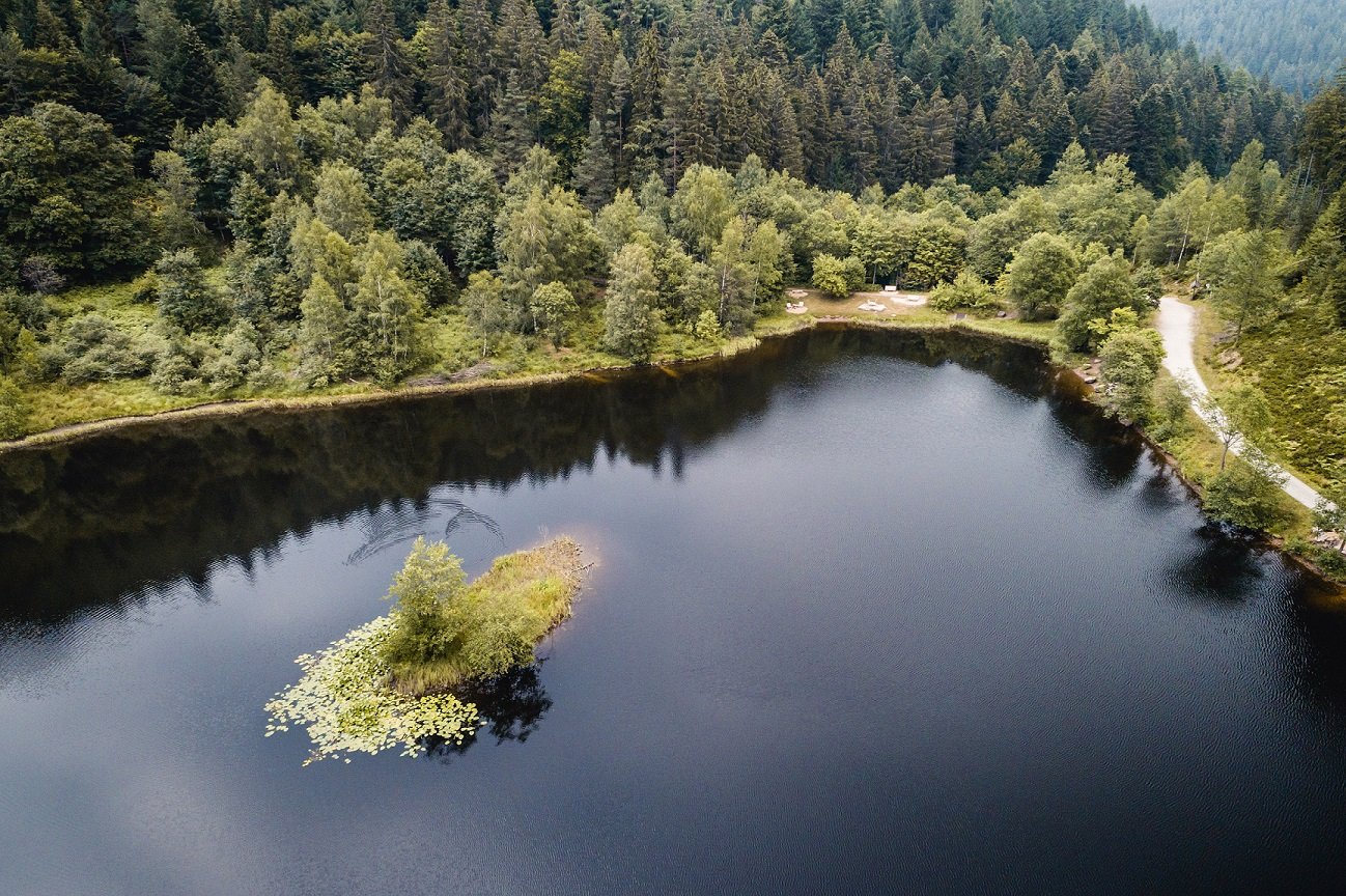 Der Sankenbachsee aus der Vogelperspektive