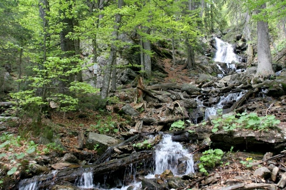 Wasserfall im Urwaldgebiet Höllbachgspreng
