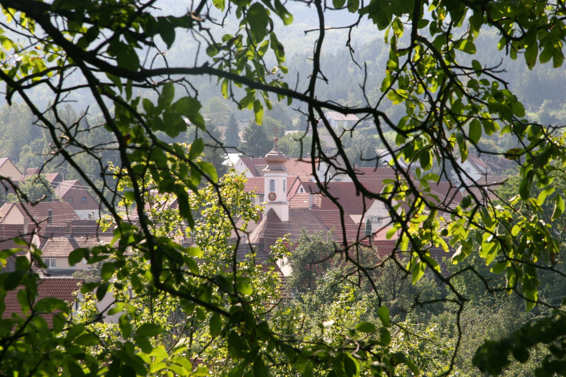 Blick auf den Bisinger Ortsteil Thanheim