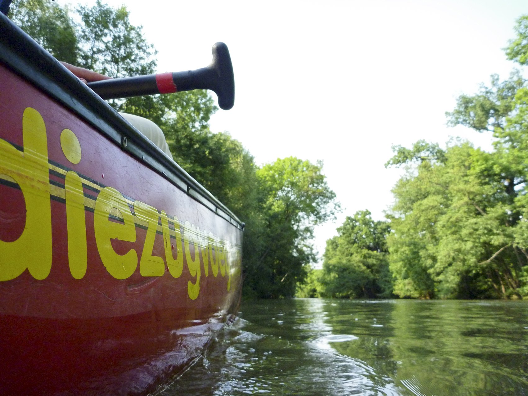 Canoë, SUP & Kayak sur l'Enz, le Neckar et le Rems - dans l'agglomération de Stuttgart, Ludwigsburg, Bietigheim, HeilbronnKanufahren sur l'Enz - Les oiseaux migrateurs