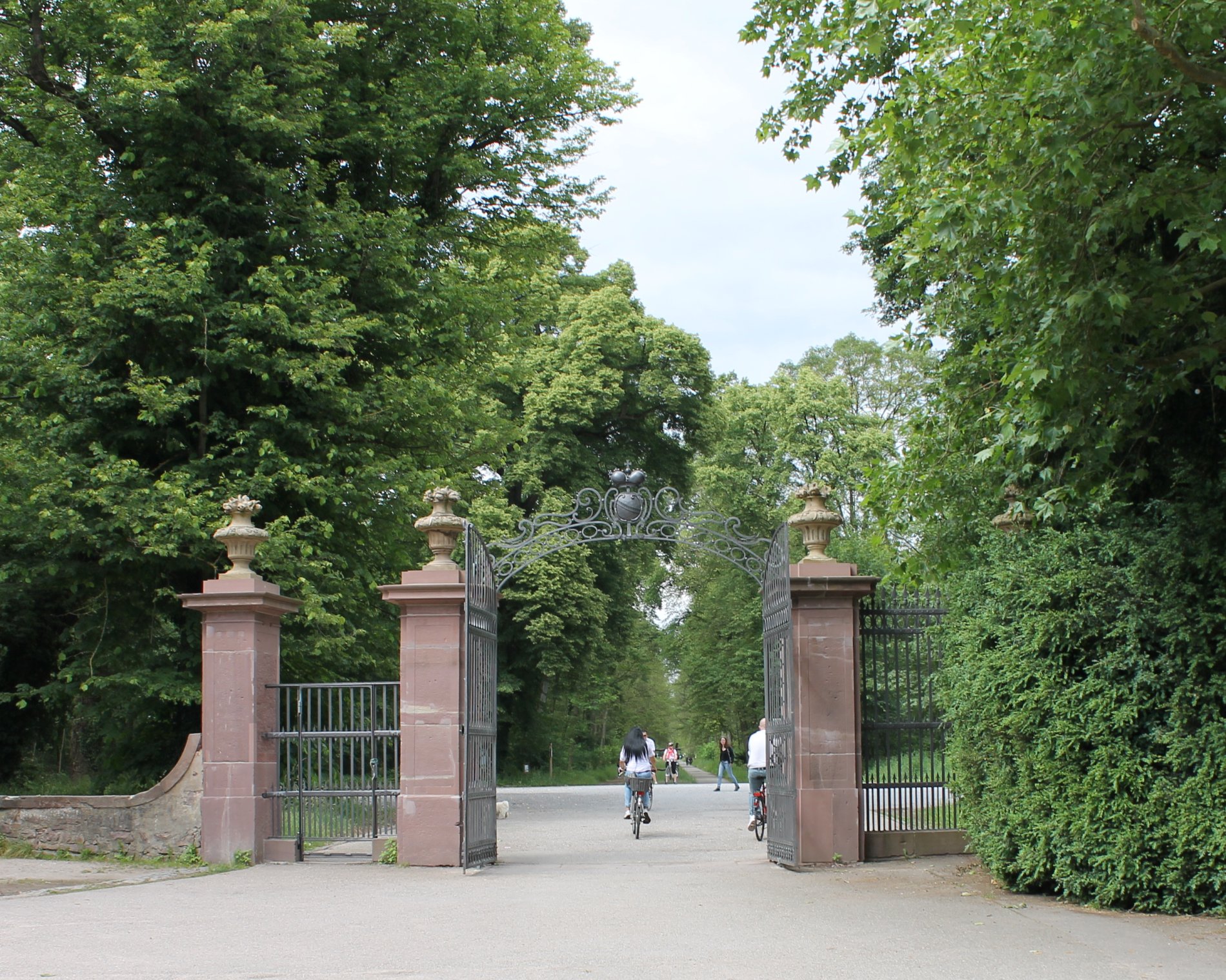Hardtwald forest with a view of the castle gate