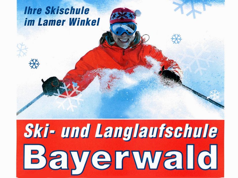 Skikurse und Skiverleih mit der Skischule Bayerwald Lam-Lohberg im Bayerischen Wald