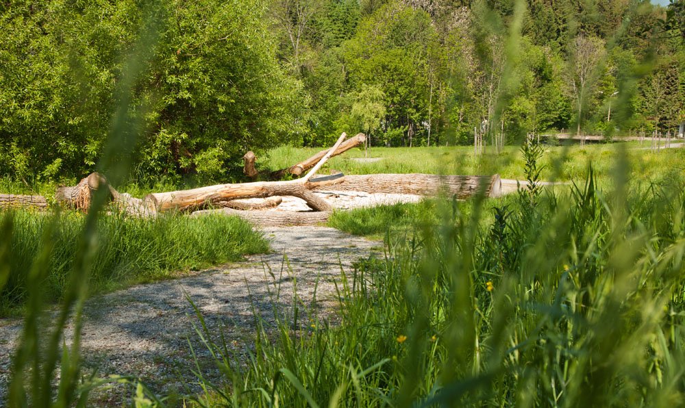 Der Auenpark Freyung im Nationalpark-FerienLand Bayerischer Wald ist ideal für Spaziergänge