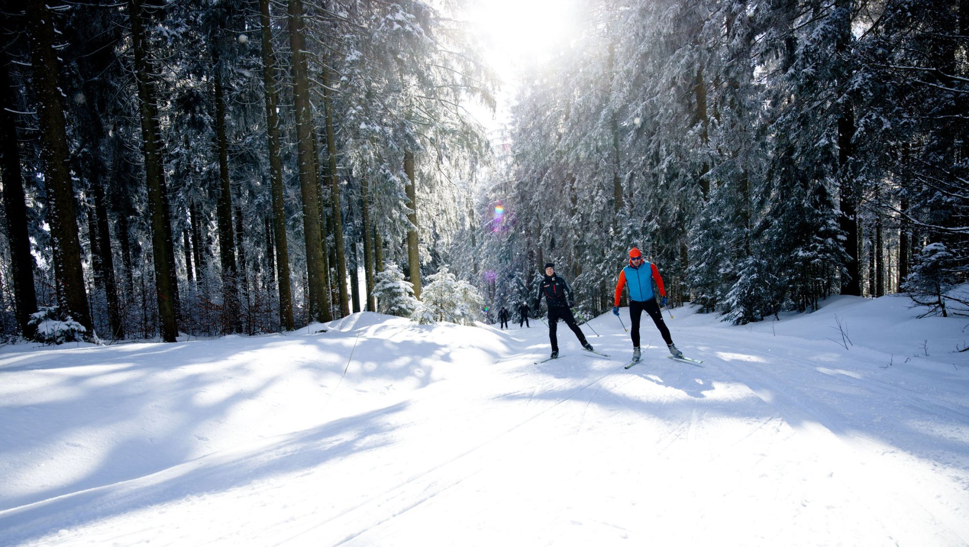 Langlaufen auf bestens präparieren Loipen im Bayerischen Wald