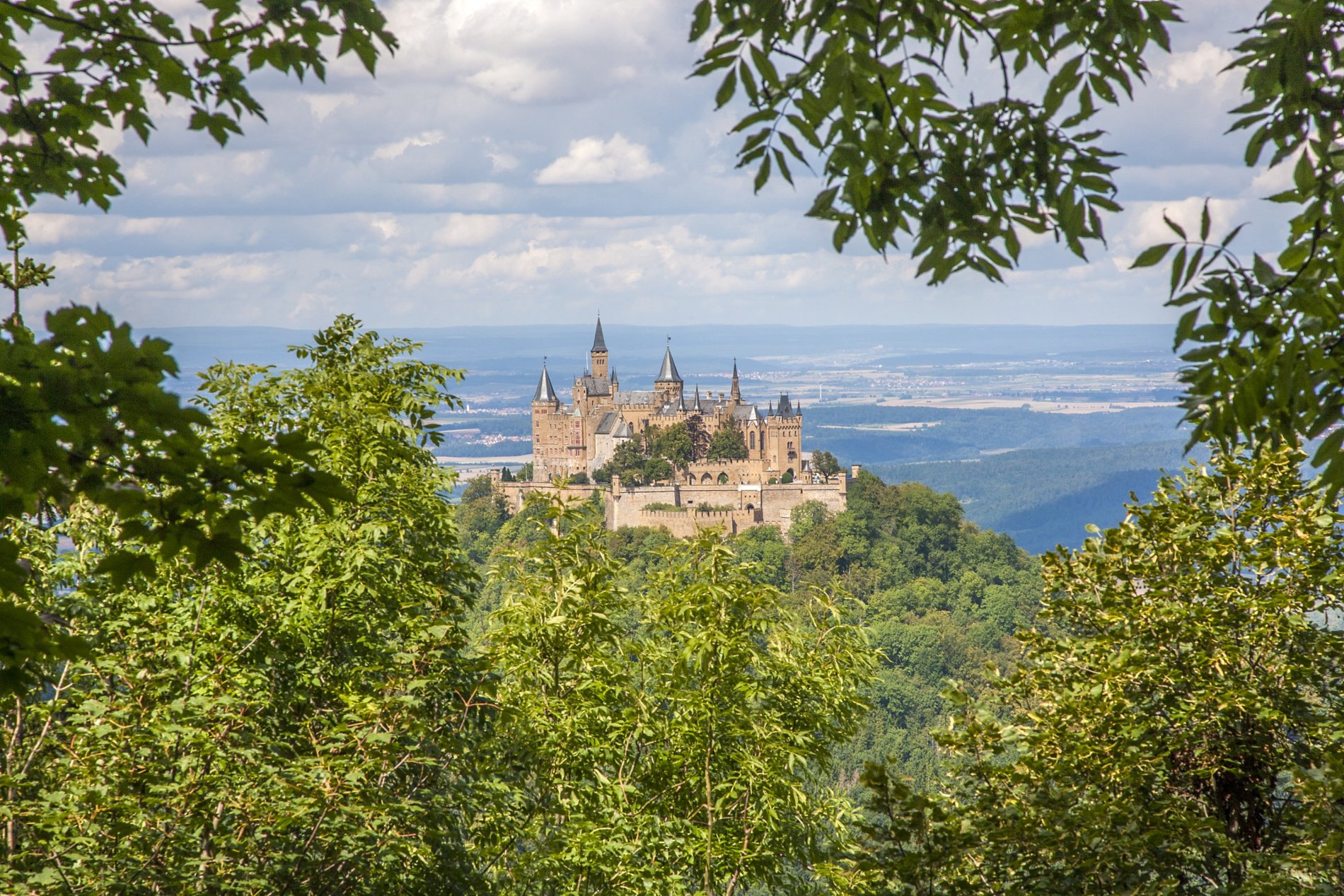 Blick durch Blätter auf die Burg Hohenzollern