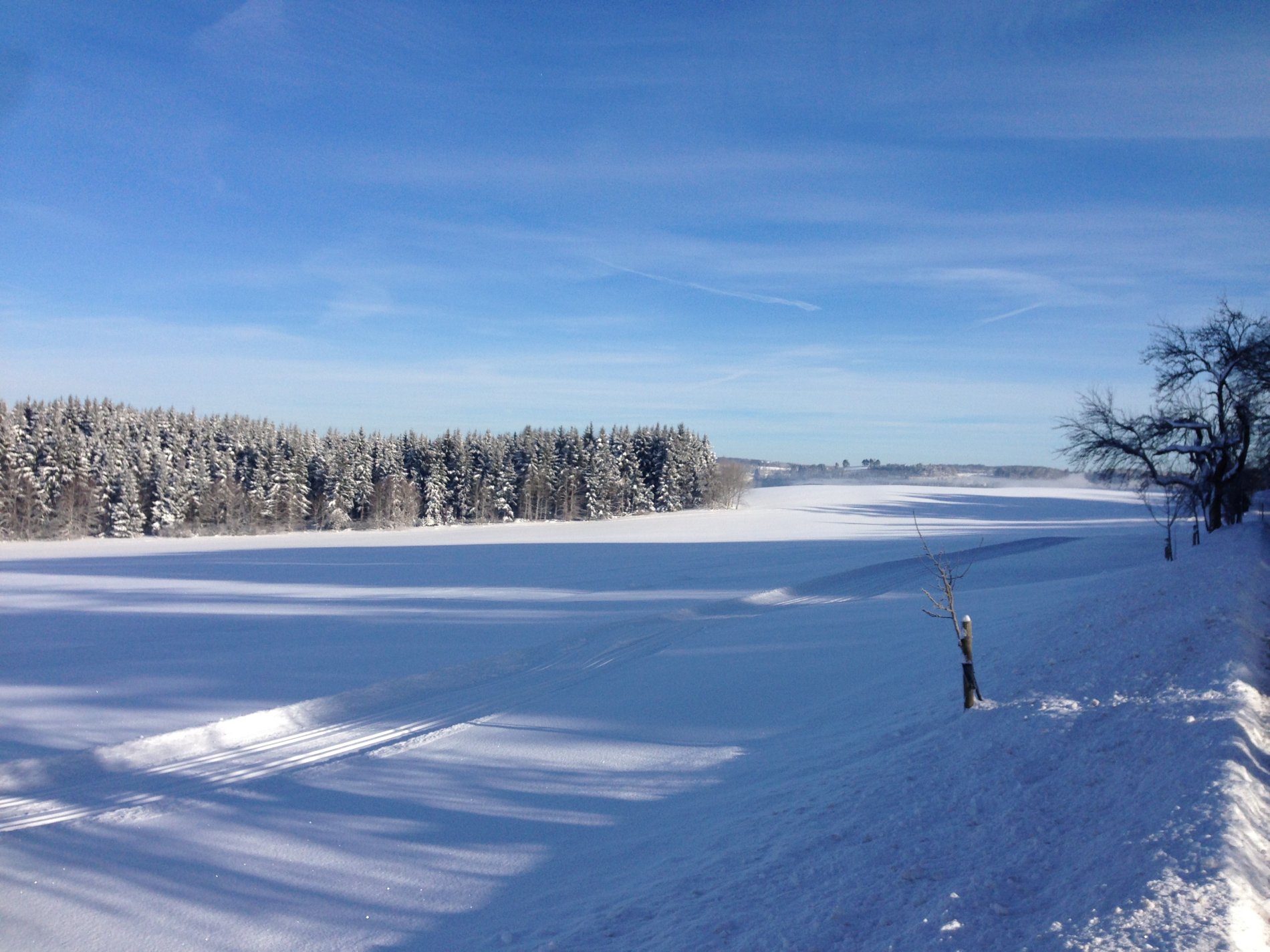 Durch eine schneebedeckte Landschaft zieht sich eine klassische Loipe. Rechts ist der Schnee zu einem kleinen Hügel aufgeschoben. Am Horizont ist Wald. Der Himmmel ist blau. Die Bäume werfen einen langen Schatten auf den Schnee.