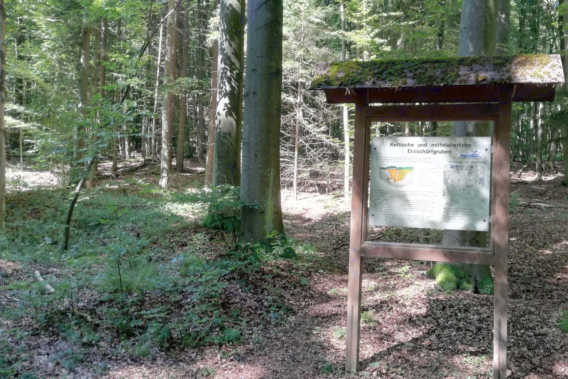 Keltische und mittelalterliche Erzschürfgruben im Naturschutzgebiet Weltenburger Enge auf dem Michelsberg in Kelheim