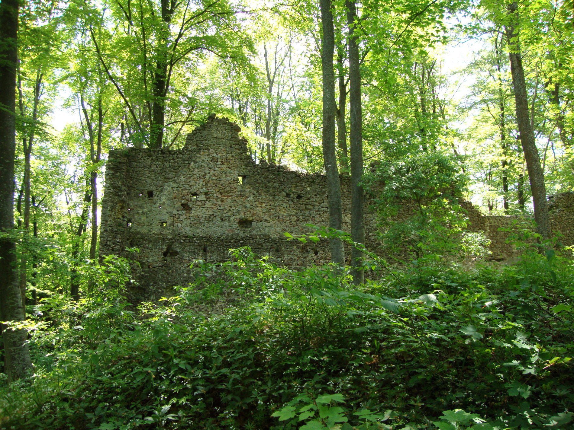 ruin Stetten dans la forêt