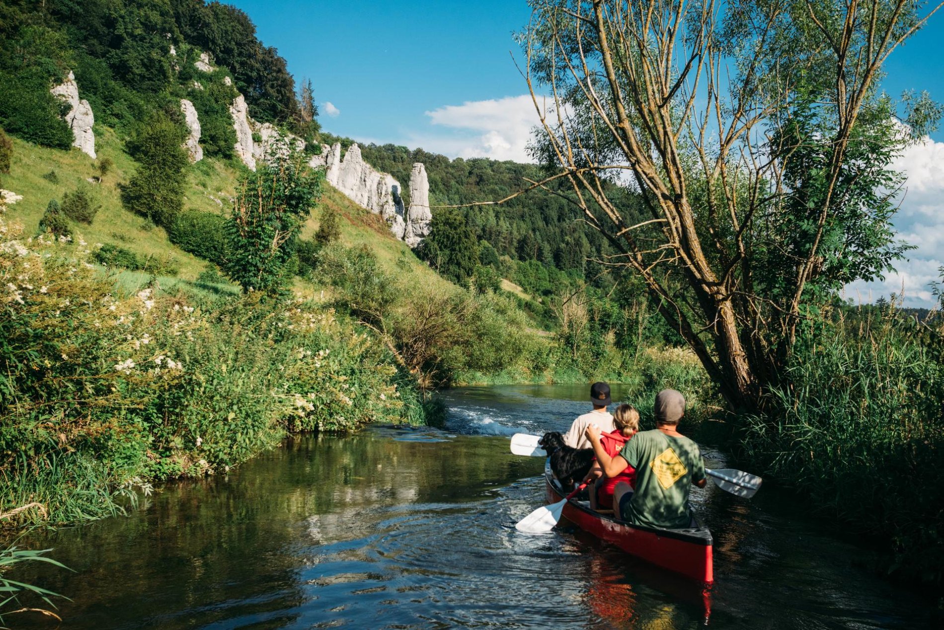 Drei Personen mit einem Hund paddeln auf einem Fluss durch eine wild bewachsene Landschaft mit Felsen. Es ist Sommer.