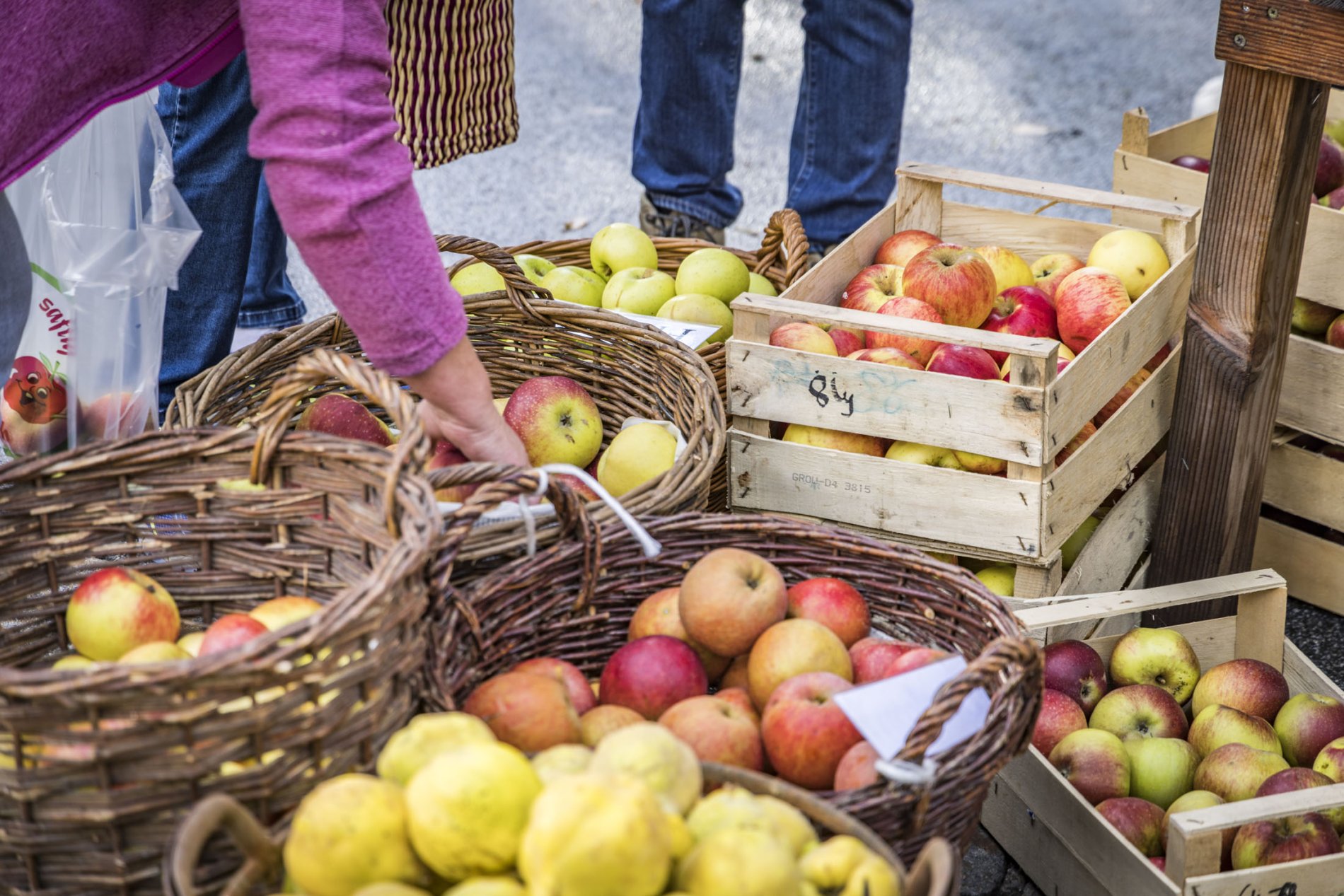 Heimisches Streuobst beim Obst- und Bauernmarkt in Lalling im Bayerischen Wald