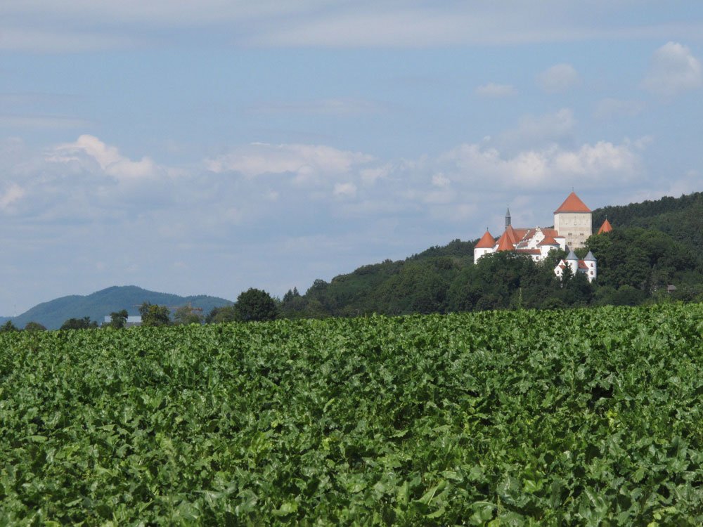 Blick auf das Schloss in Wörth an der Donau