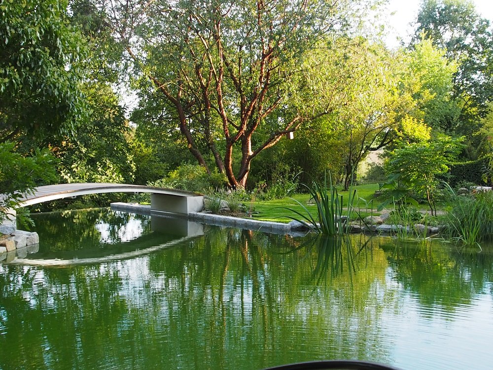 Blick auf den Schwimmteich im Goldshauser Garten in Marzling