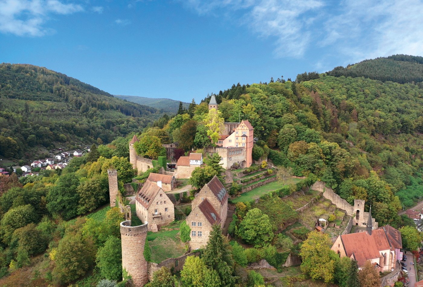 Blick auf Burg Hirschhorn
