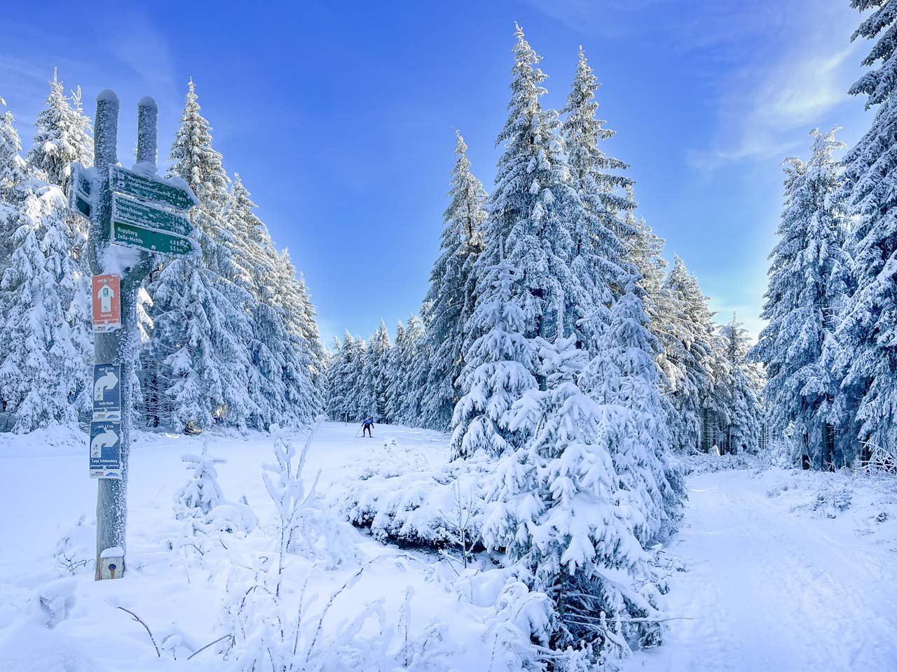 Blick auf den verschneiten Thüringer Wald