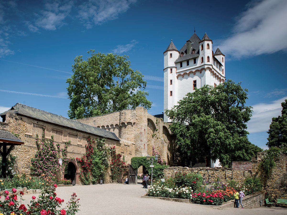 Kurfürstliche Burg Eltville Südansicht