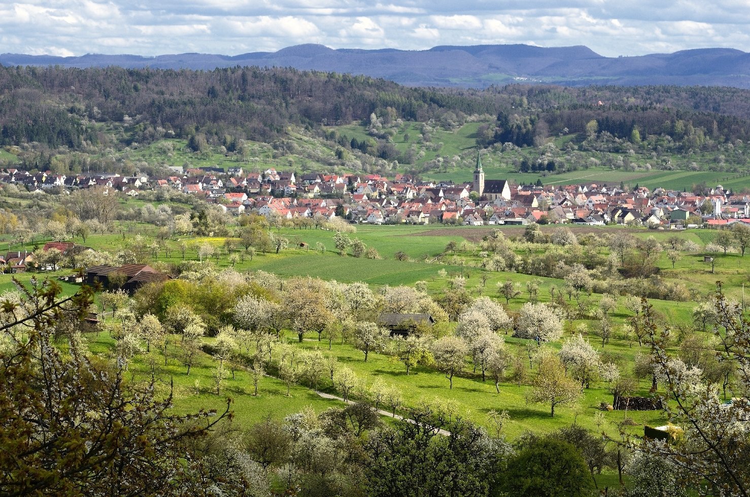 Blick vom westlichen Schönbuchrand auf grüne Streuobstwiesen mit dem Dorf Hagelloch im Hintergrund