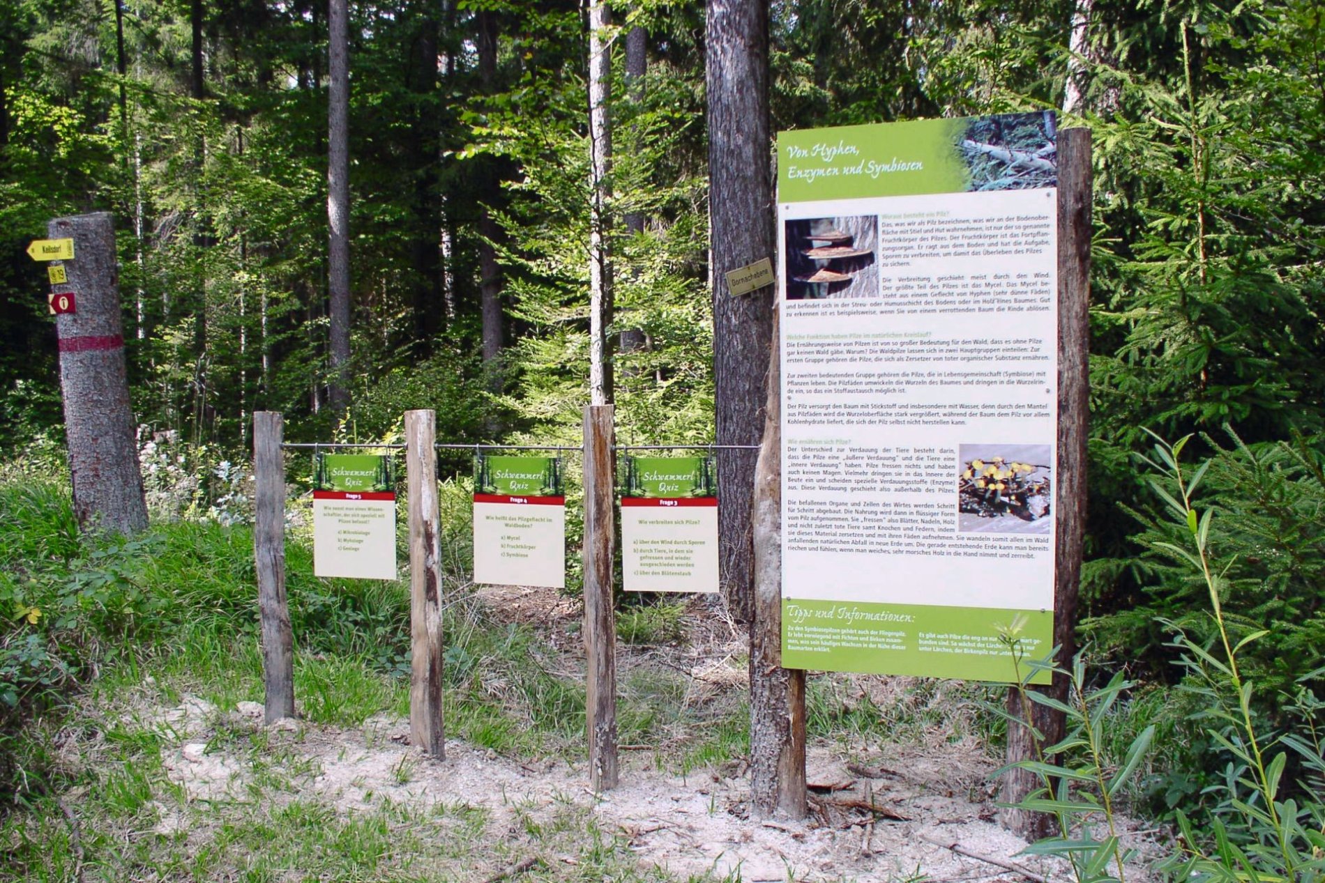 Große Schautafeln am Schwammerllehrpfad geben Ihnen im Wald Informationen zu den heimischen Pilzen.