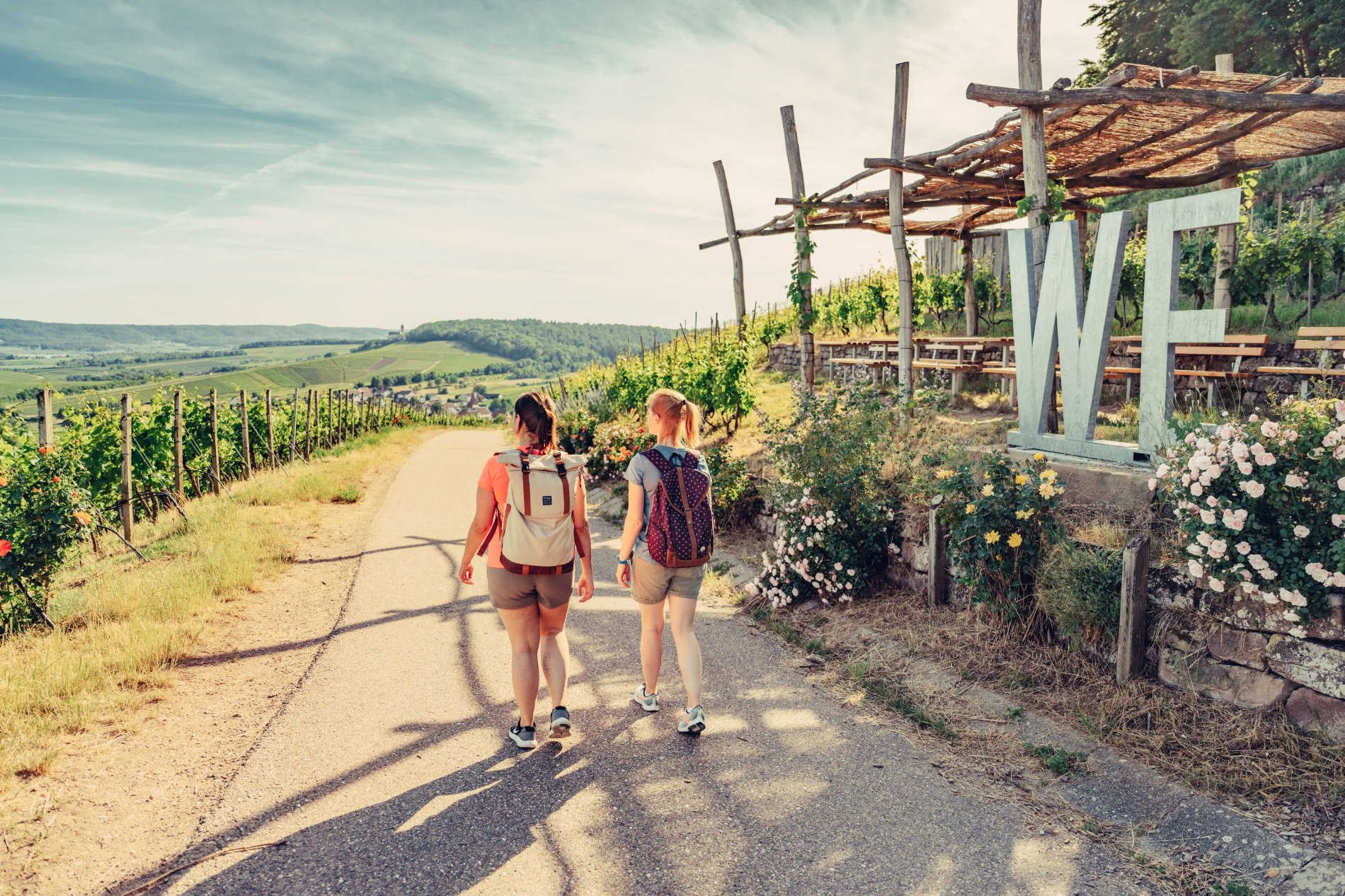 Weinausschank im Zweifelberg | Weinsüden Weinort Brackenheim | HeilbronnerLand