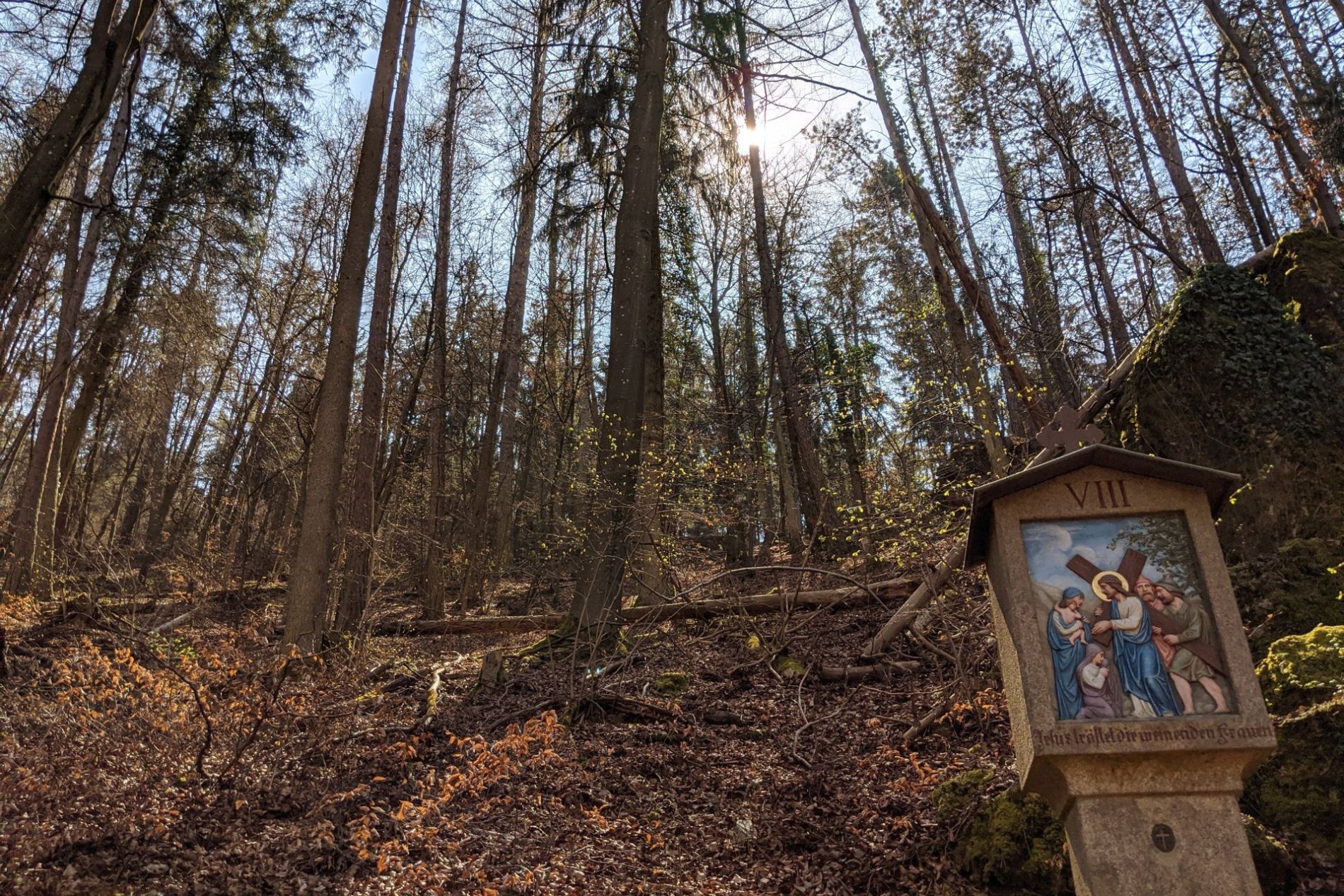 Der Bildstock stellt eine Szene aus dem Kreuzweg Jesu vor. Der Riedenburger Kreuzweg liegt mitten im Wald.
