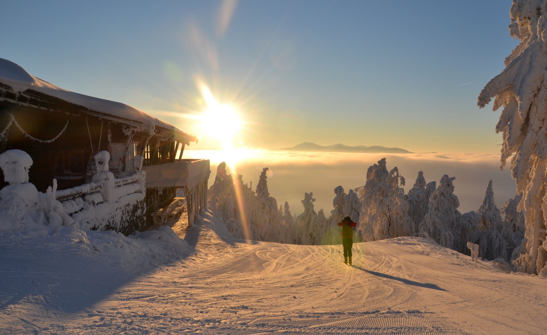 Skifahren bei Sonnenaufgang am Hohenbogen