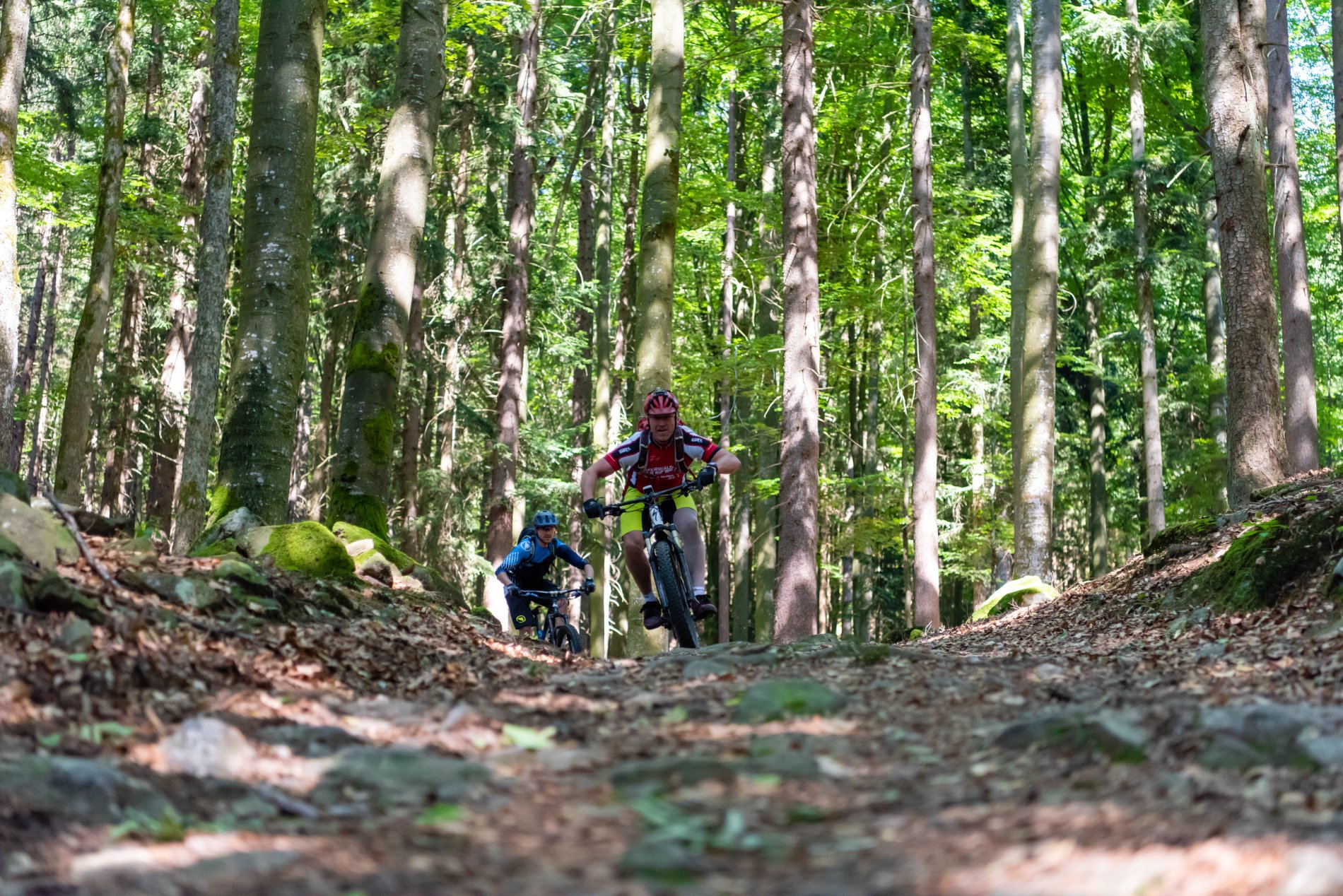 Geführte MTB Touren im Bayerischen Wald mit Bayerwald Bike