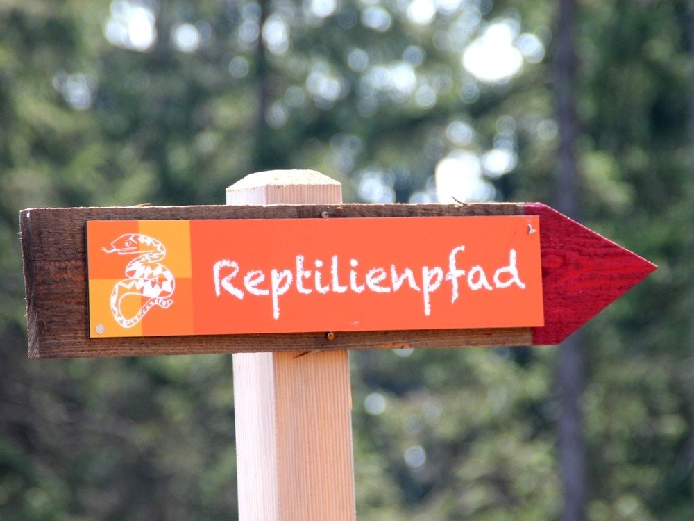 Wegweiser auf dem Reptilien-Pfad im Ferienort Langdorf 