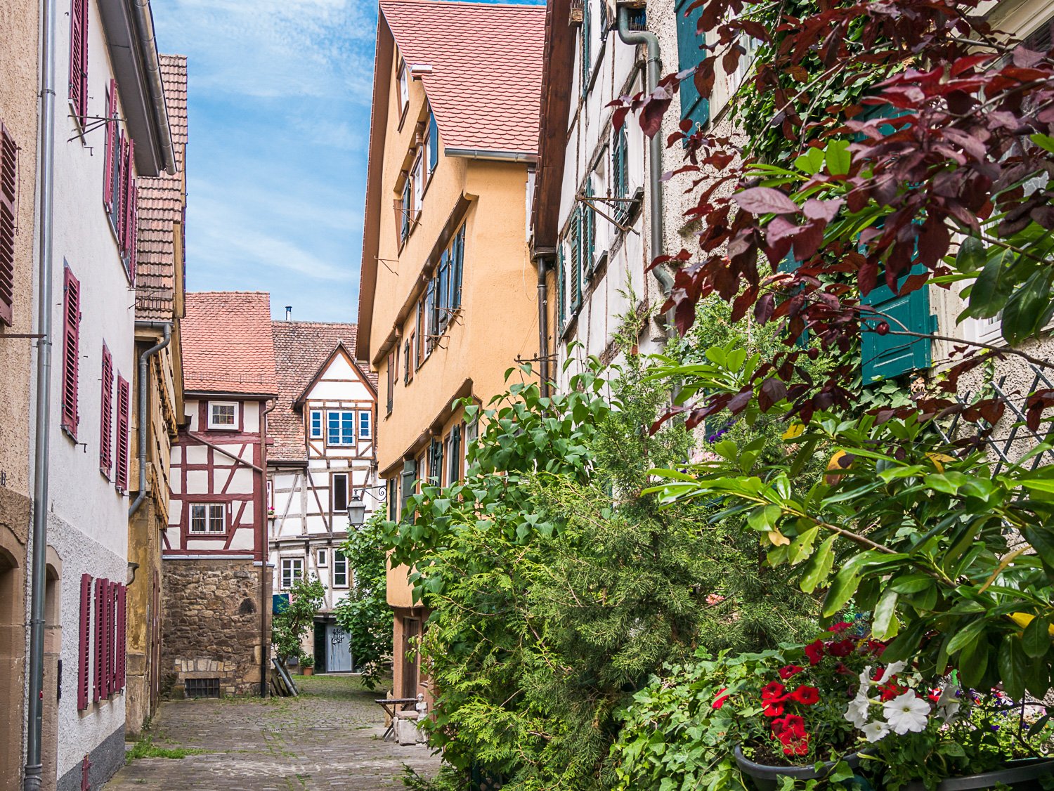Blick in die Judengasse in Tübingens Altstadt mit begrünten historischen Hausfassaden