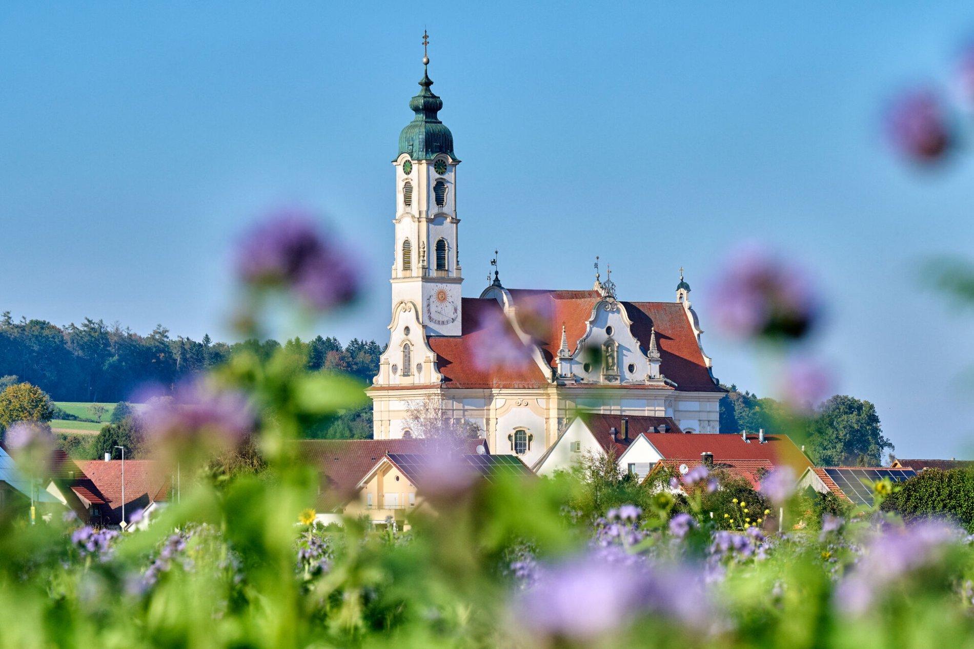 Wallfahrtskirche Steinhausen mit Blumen im Vordergrund