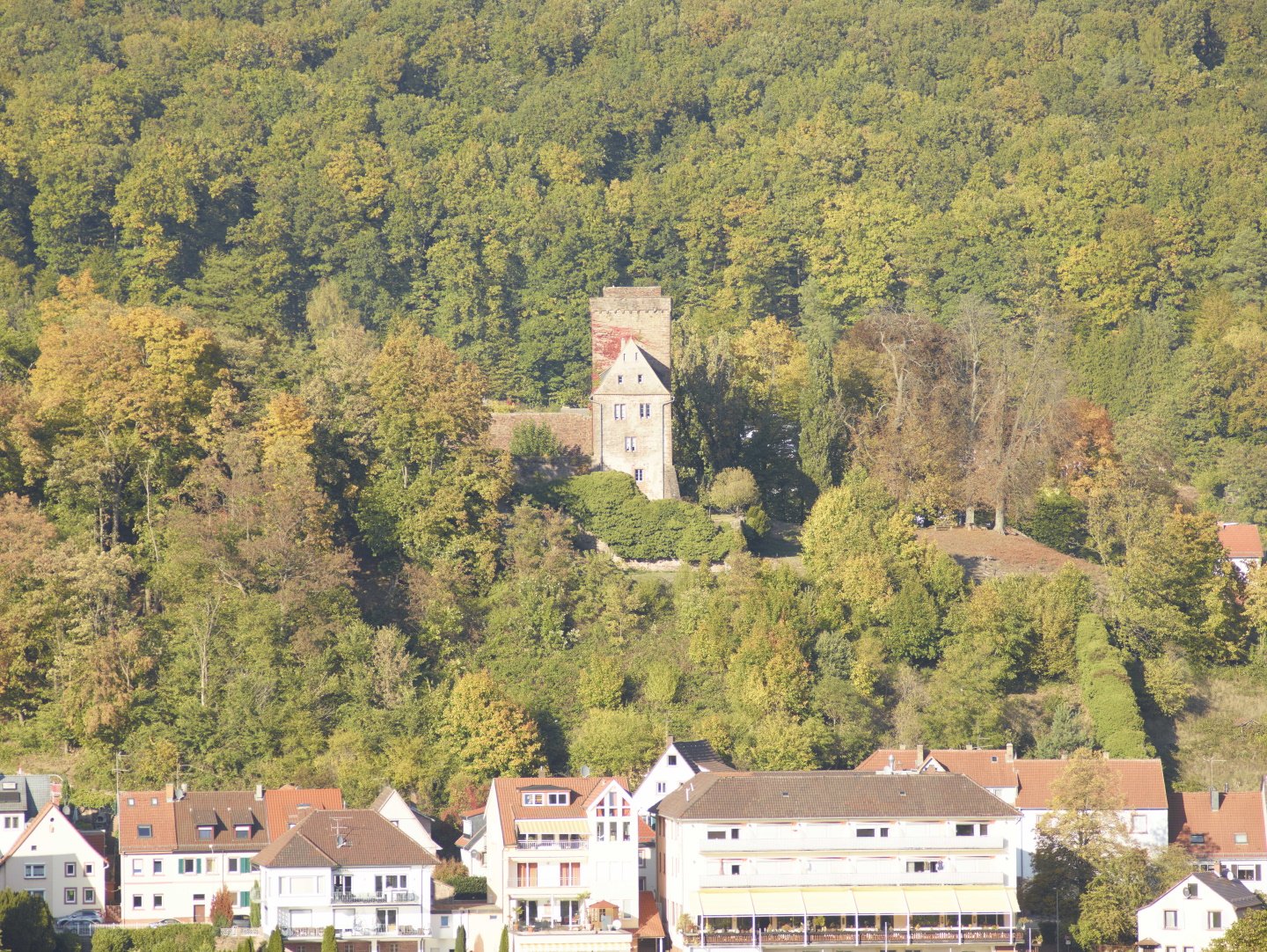 Vorderburg Neckarsteinach