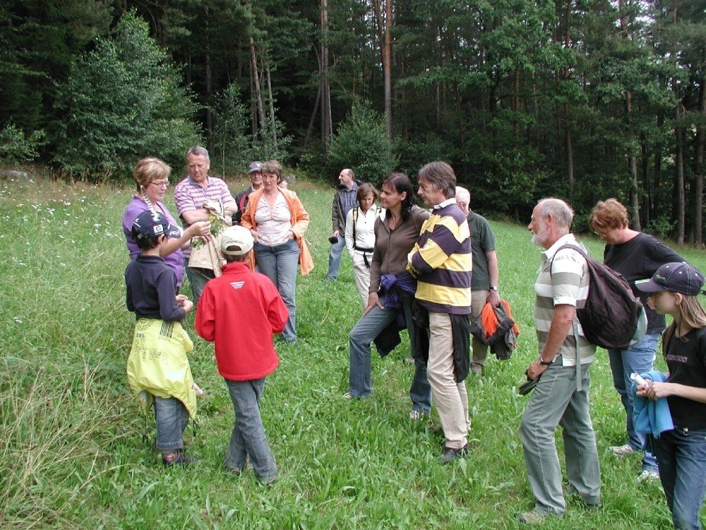 Pflanzenkunde bei einer Kräuterführung im Falkensteiner Vorwald