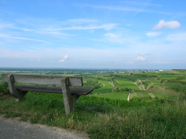 Landschaftsblick über Rheinebene