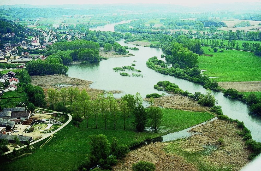 Naturschutzgebiet Donautalwasser Winzerer Letten im Deggendorfer Land
