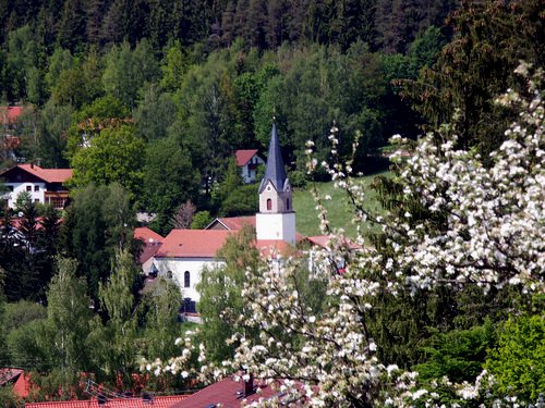 Blick auf die Pfarrkirche in Achslach im ArberLand Bayerischer Wald